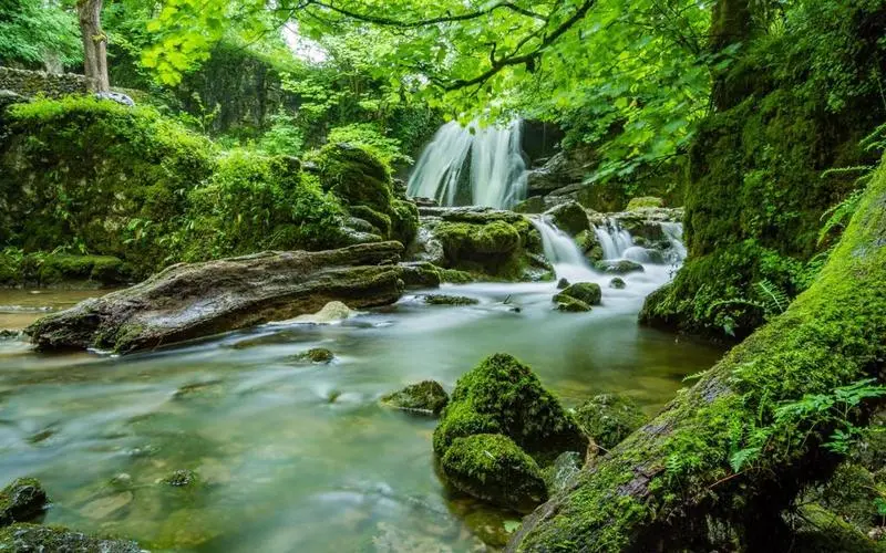 稳定性智能高质量